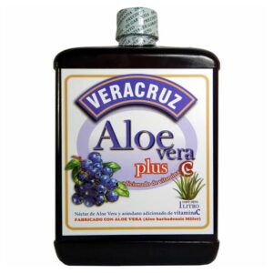 VERACRUZ ALOE VERA GEL BEBIBLE ARANDANO